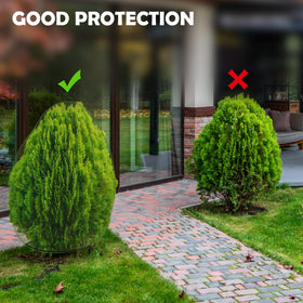 Codree netting used on different plant sizes for versatile protection