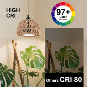 Cofiveevo grow light timer display for hassle-free daily scheduling.