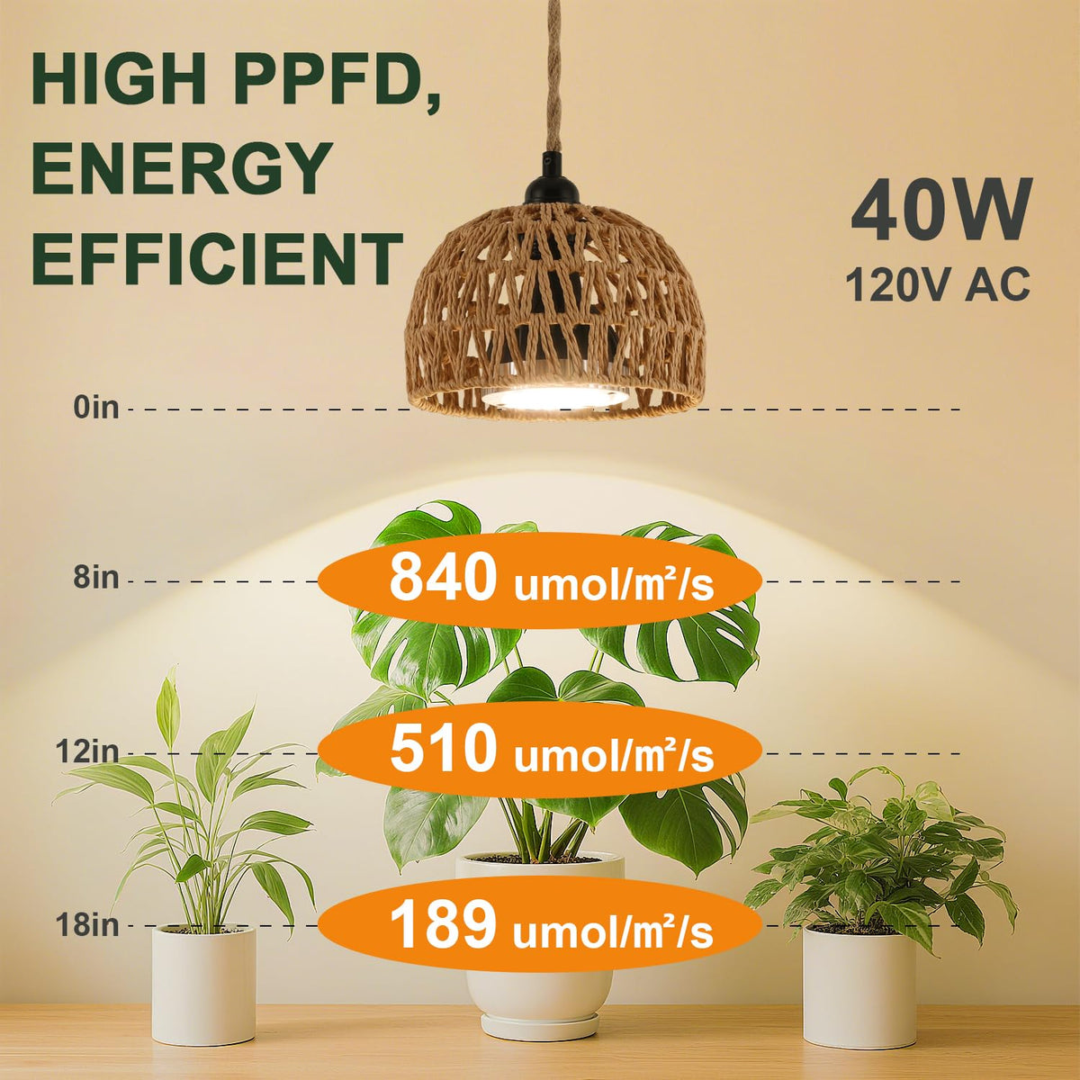 Cofiveevo plant light 15 ft rope kit for flexible ceiling mounting.