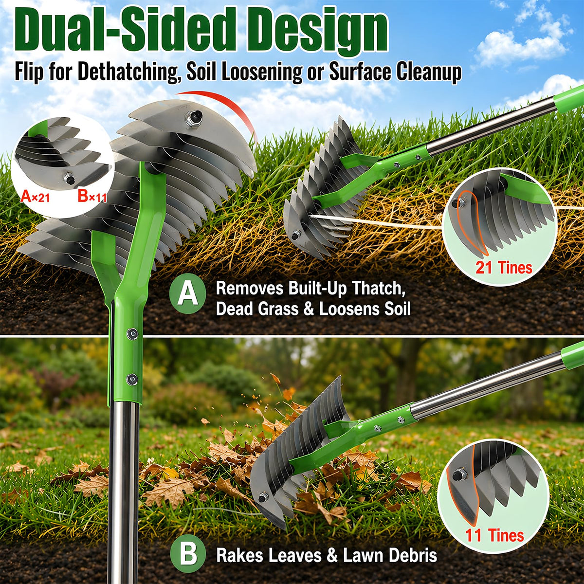 Cogardenshower dethatching rake showing the 21-tine side for removing dead grass and improving airflow.
