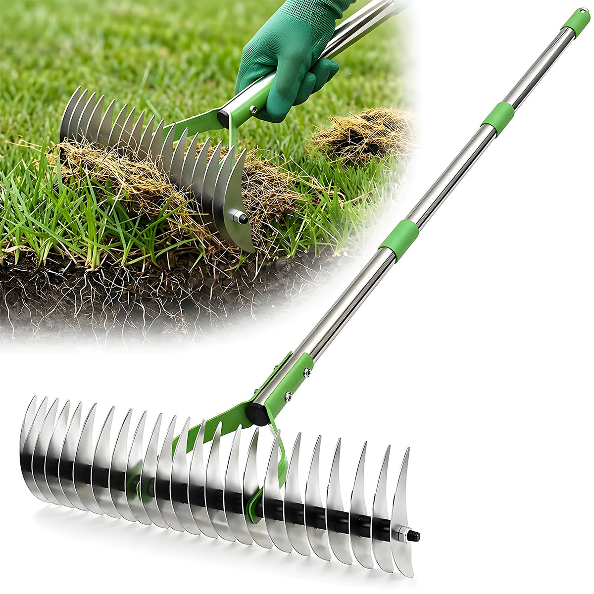 Cogardenshower heavy-duty thatch rake with a 13-inch head for deep dethatching and reviving thinning turf.