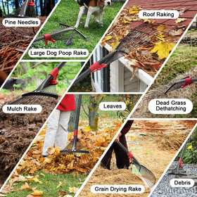 Cogardenshower leaves and pine needles cleanup across lawns and gardens