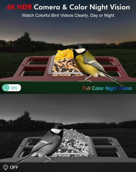 Cokque Smart Bird Feeder 4K live view captures sharp wildlife moments