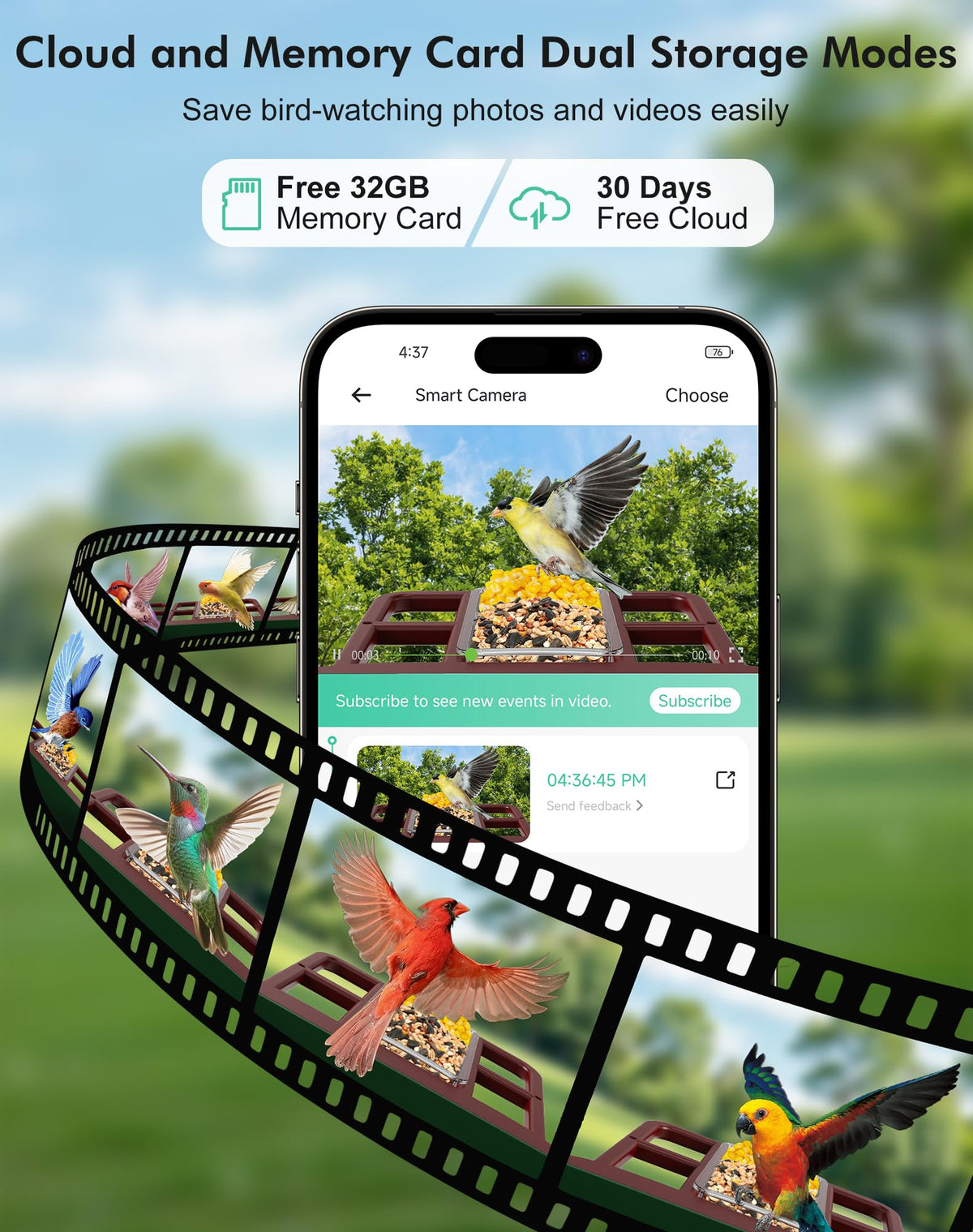 Cokque Smart Bird Feeder AI species identification shows birds in real time