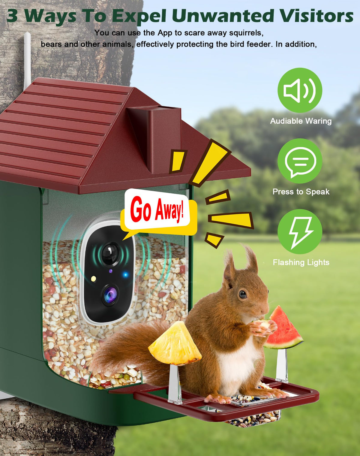 Cokque Smart Bird Feeder cloud storage keeps clips accessible