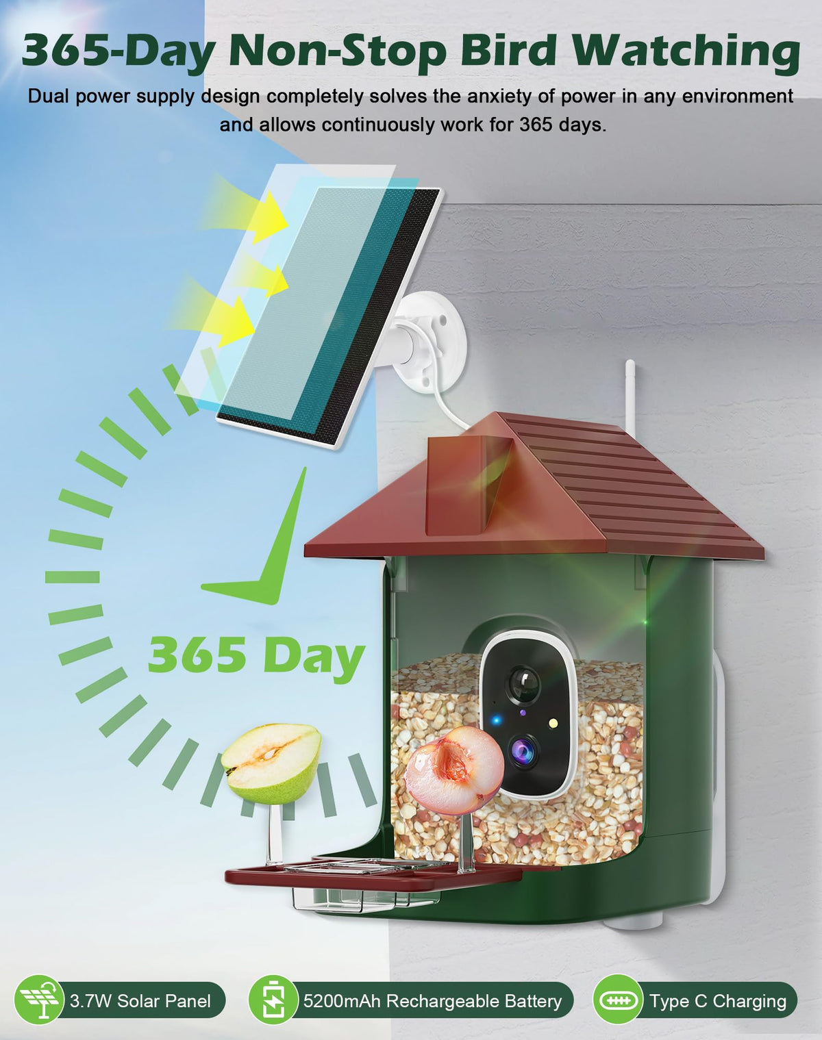 Cokque Smart Bird Feeder night vision keeps dusk observations clear