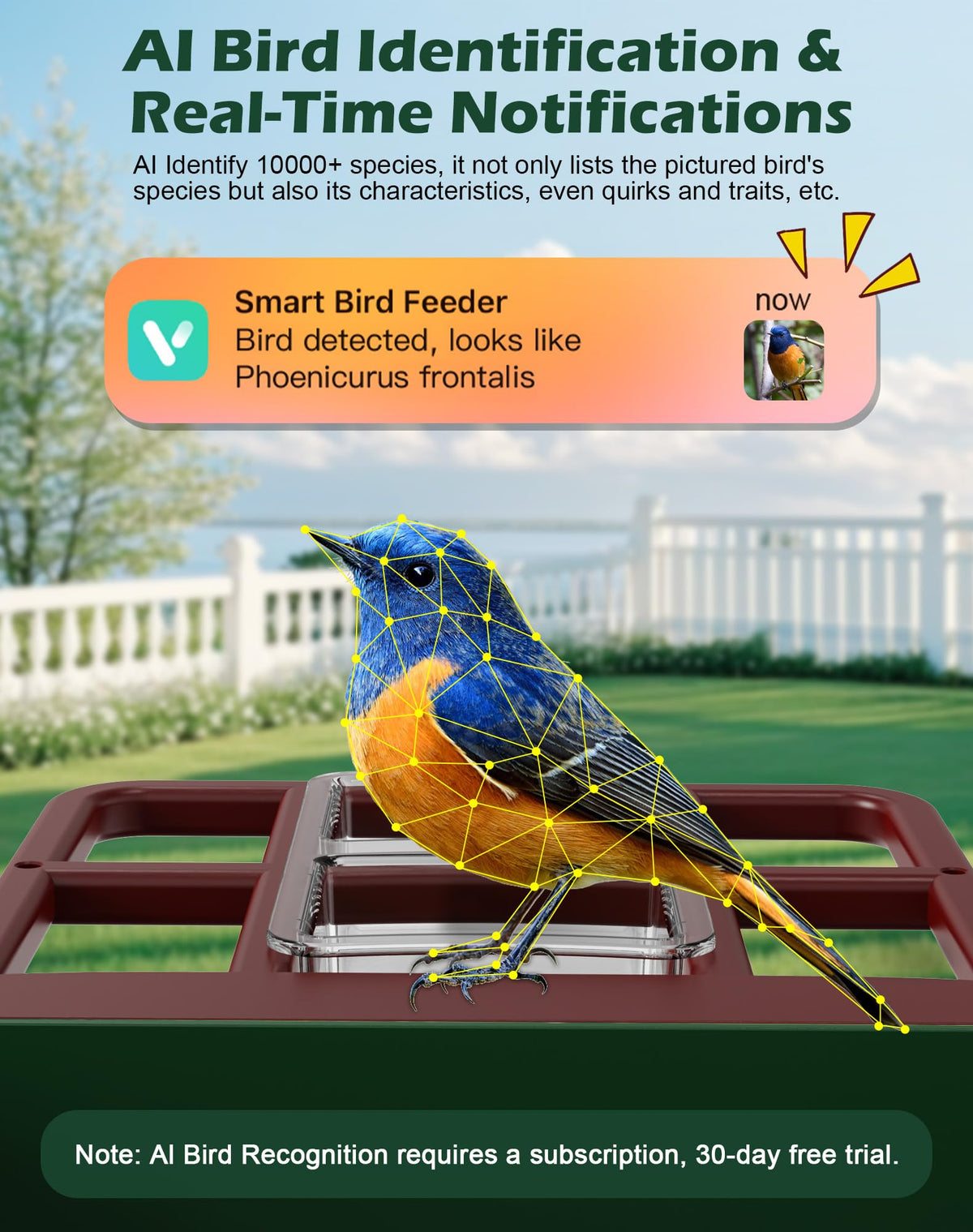 Cokque Smart Bird Feeder solar panel demonstrates sustainable outdoor power
