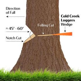 Cold Creek Loggers safety guide for felling demonstrates reliable control and reduced risk.