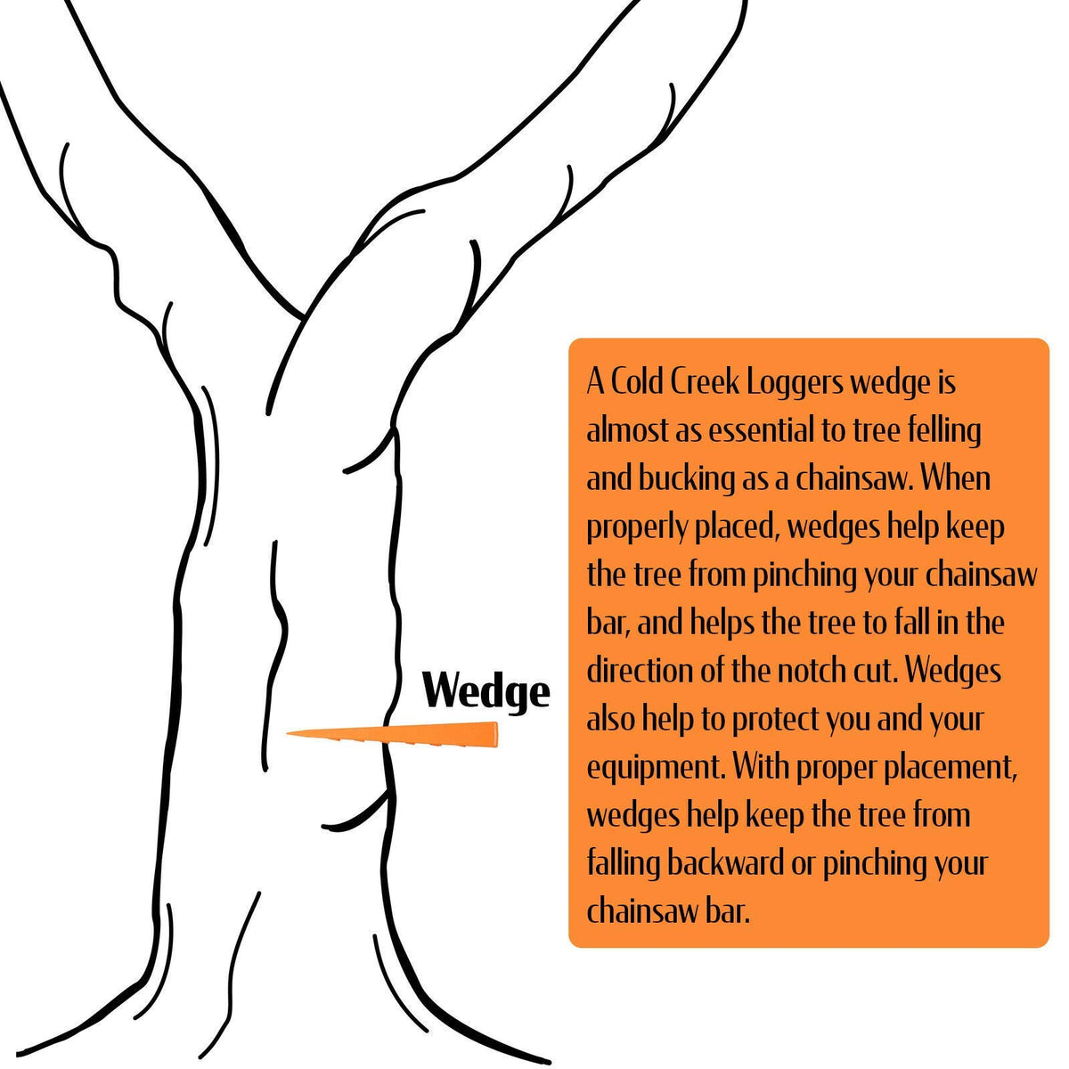 Cold Creek Loggers wedges in action guiding tree direction during felling.