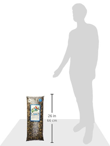 Cole's BR10 Blue Ribbon Blend at the feeder scene attracts a wide range of wild birds.