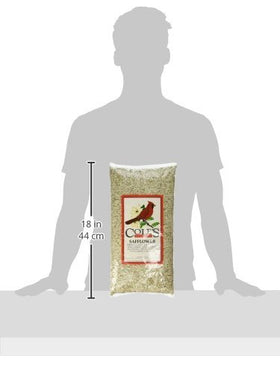 Cole's SA05 safflower seed in a feeder demonstrates attracting songbirds while deterring squirrels.