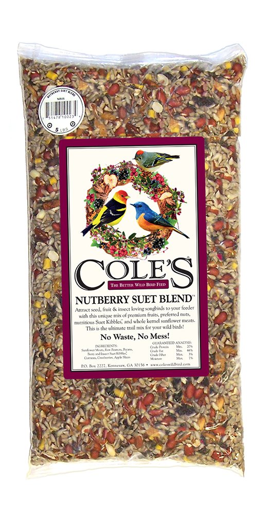 Cole's NB05 Nutberry Suet Blend at the feeder attracts seed- and insect-eating songbirds