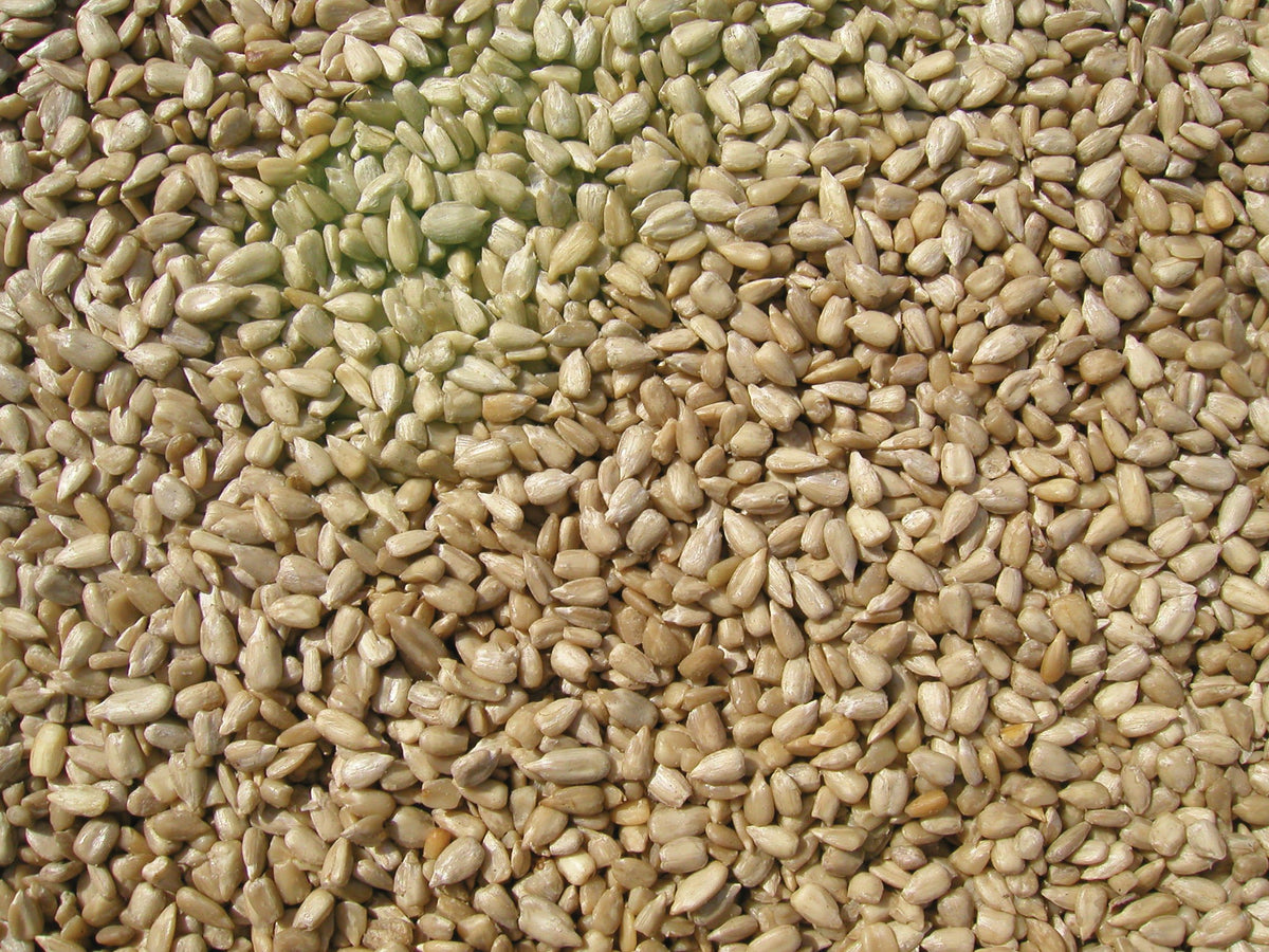 Sunflower Meats from Cole's The Better Wild Bird Feed; nearly shell-free for easy feeding.