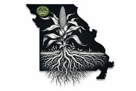 Colfax Grain open-pollinated blue Hopi corn for heritage gardening
