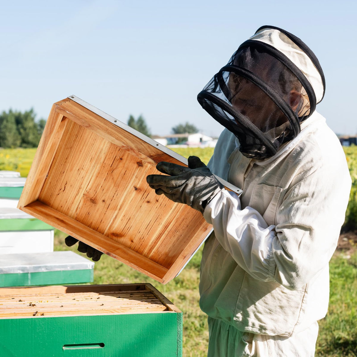 Colingmill packaging-ready bee hive covers for multiple hives
