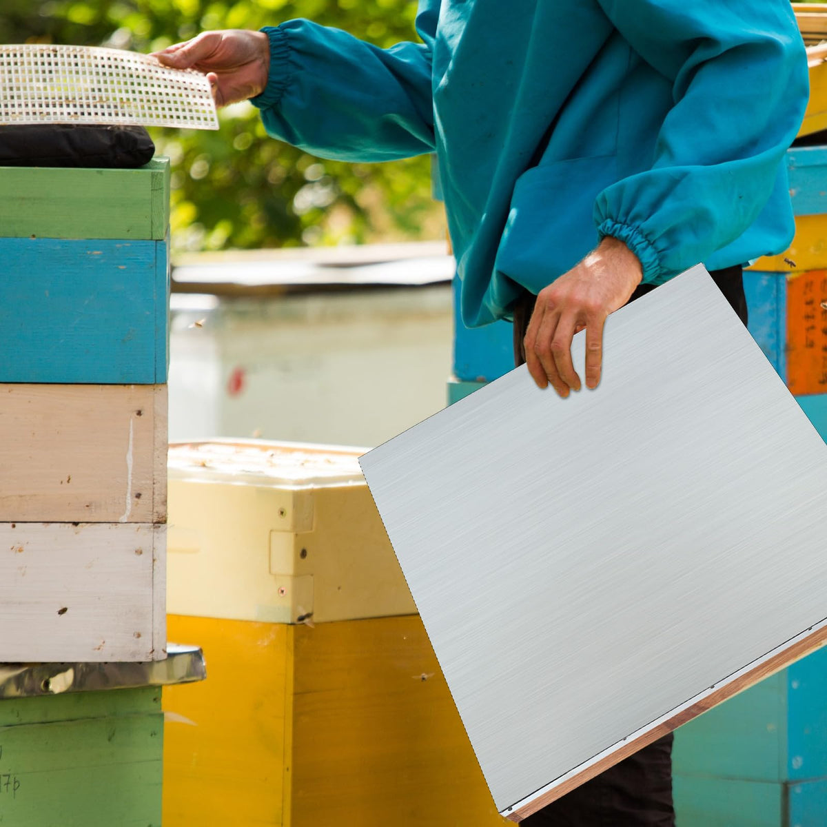 Colingmill bee hive cover weather shield protecting hives outdoors