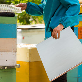 Colingmill bee hive cover weather shield protecting hives outdoors