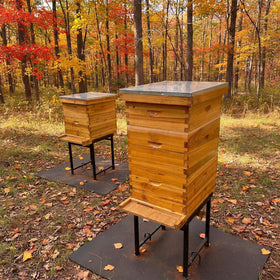 Colingmill beekeeping kit packaging shows practical setup for beginners