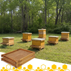 Colingmill bottom board with ventilation features supports hive comfort
