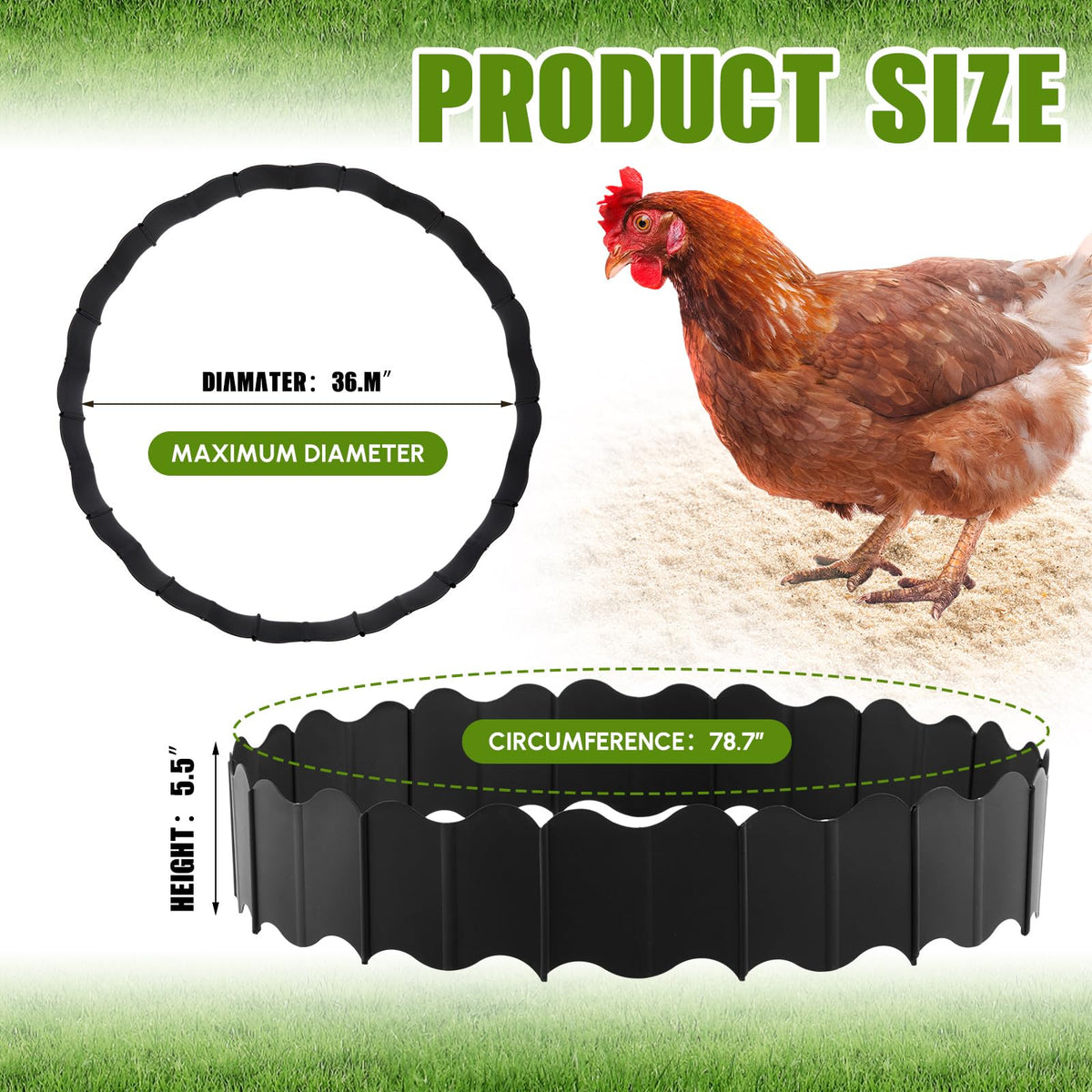 Colingmill dust bath tub ring in outdoor coop setting
