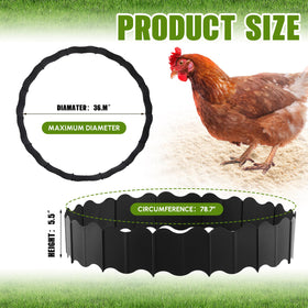 Colingmill dust bath tub ring in outdoor coop setting