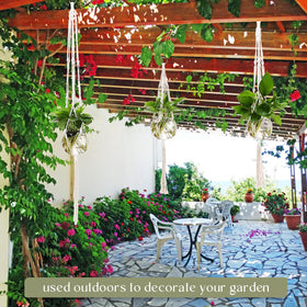 Colingmill indoor garden idea kit for home or office