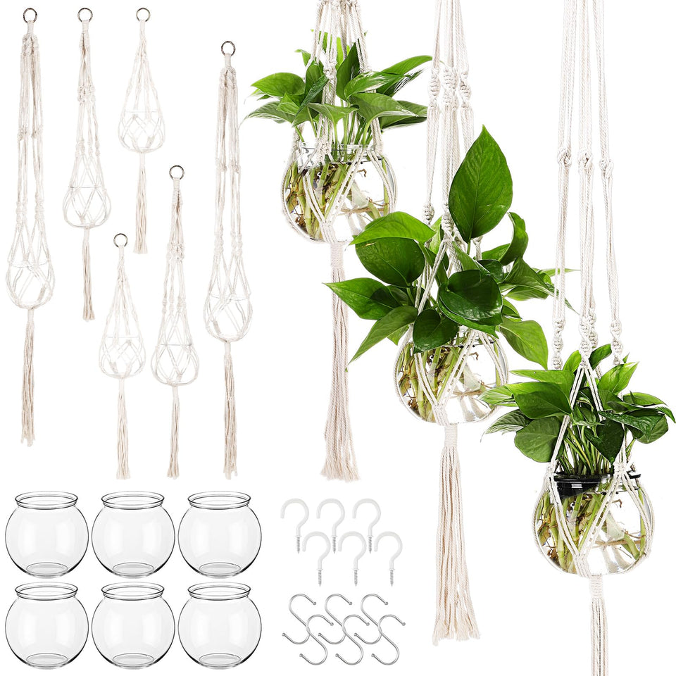 Colingmill plastic ball bottle for propagation with clear view of cuttings and reusable design
