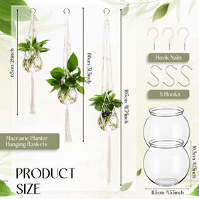 Colingmill small clear plastic vase to showcase hydroponic plants