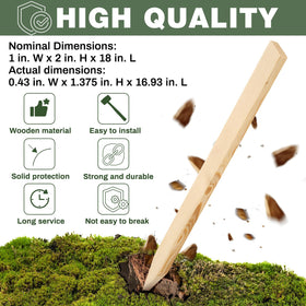 Colingmill solid wood stake provides durable support throughout the growing season.