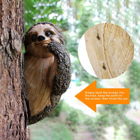 Colomix Sloth Tree Hugger peeks from the tree trunk for playful appeal