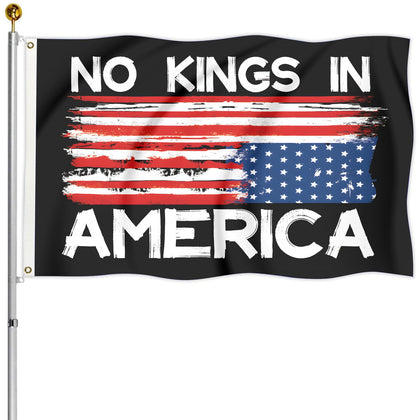 Colorato No Kings flag 3x5ft outdoors fluttering in sunlight for visibility.