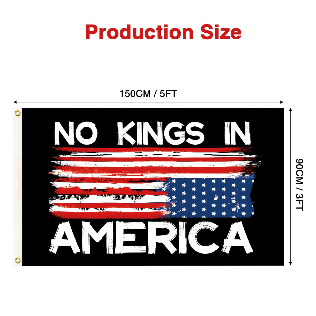Colorato No Kings flag fade-resistant print ensuring vibrant colors over time.