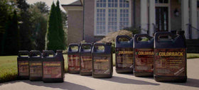 COLORBACK Finished black mulch presents a deep, uniform tone for curb appeal.