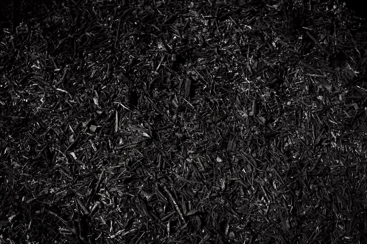 COLORBACK Made in USA family-owned brand supports eco-friendly landscape color restoration.