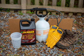 COLORBACK Pine-straw color renewal keeps beds tidy and moisture-friendly.