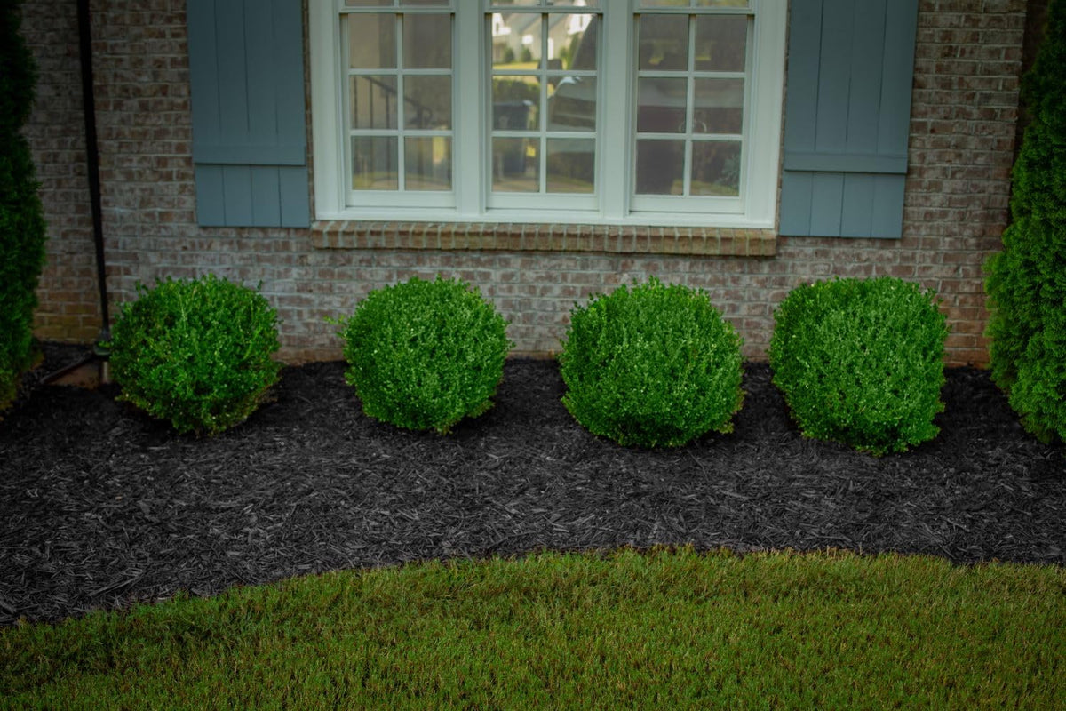 COLORBACK Rain and sun resistance helps mulch color stay fresh for months.