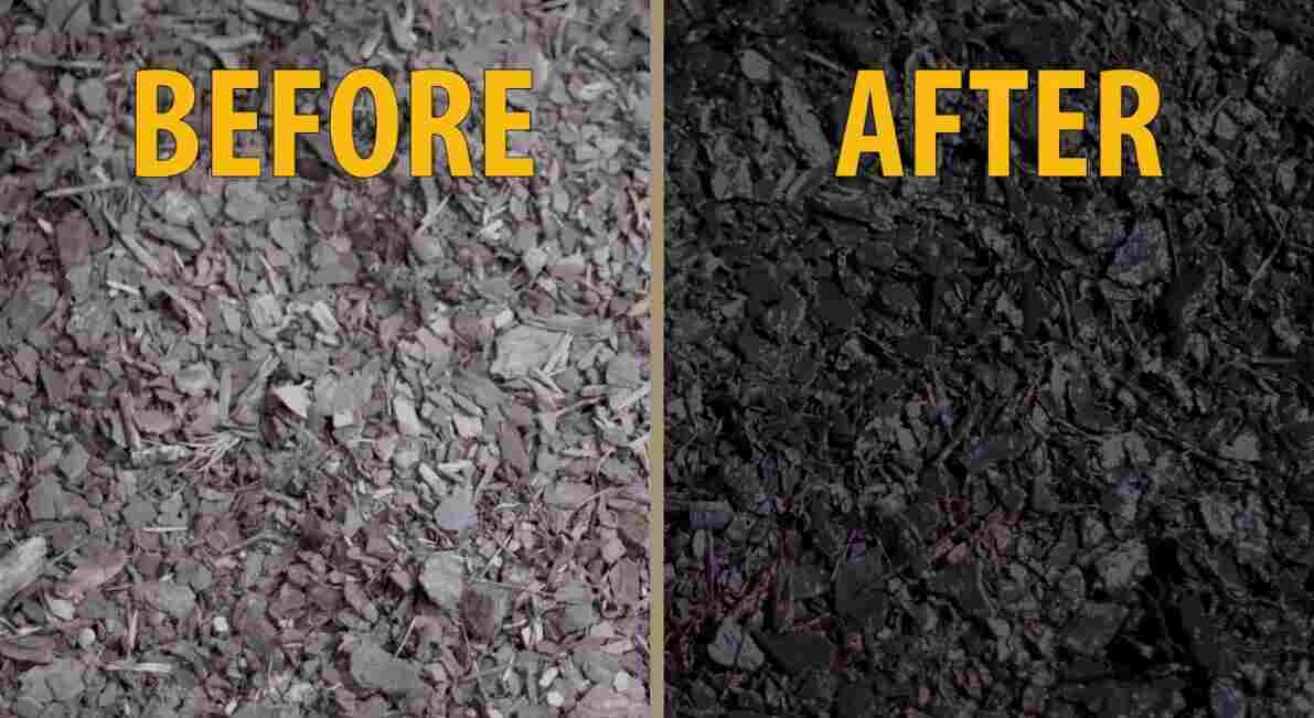 COLORBACK Wood-chip mulch refresh restores color on organic and inorganic mulch types.