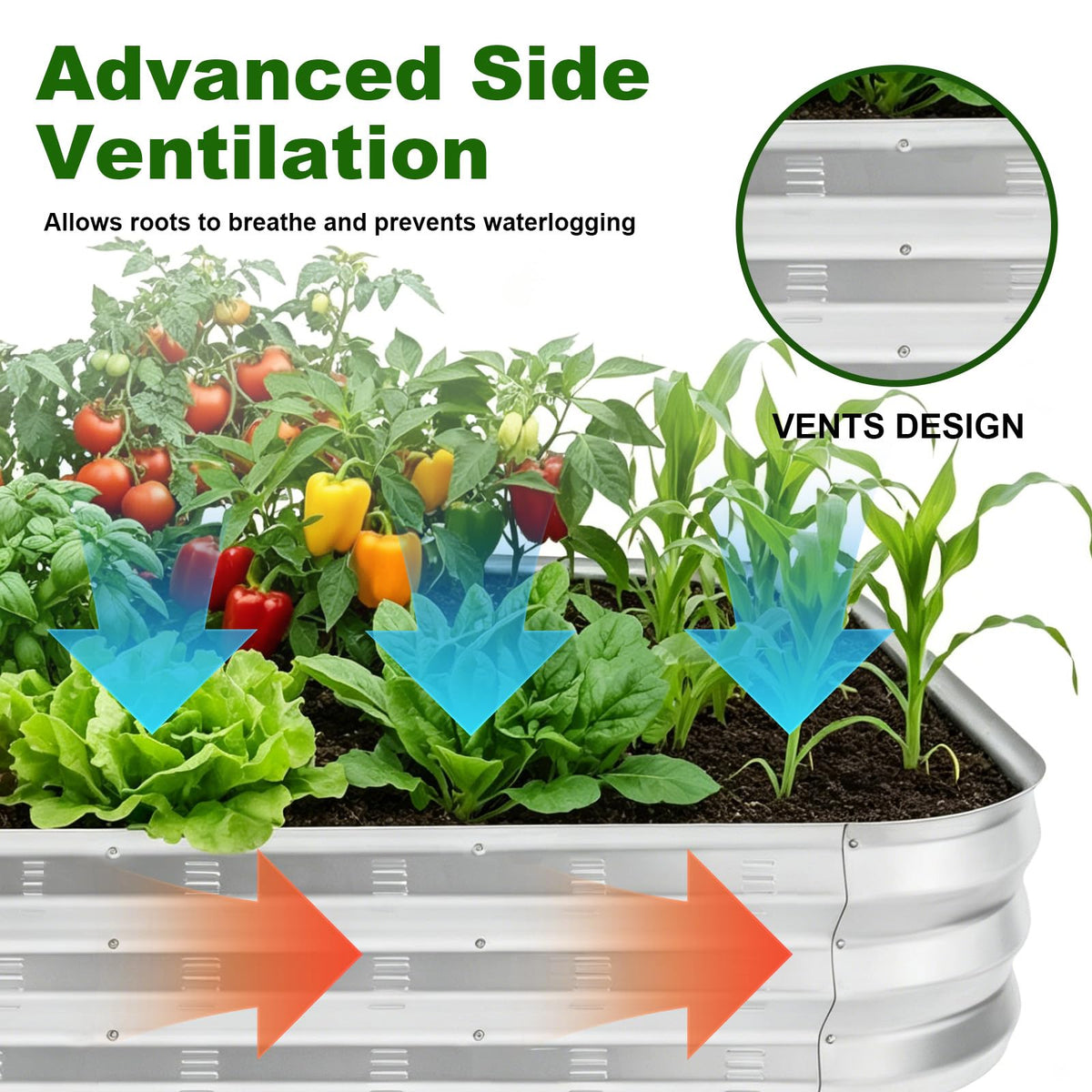 Colorfulbeetle open-bottom design allows drainage and weed defense for thriving soil.