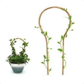 COLOtime 16-inch round bamboo trellis in a 3-pack provides sturdy support for climbers.