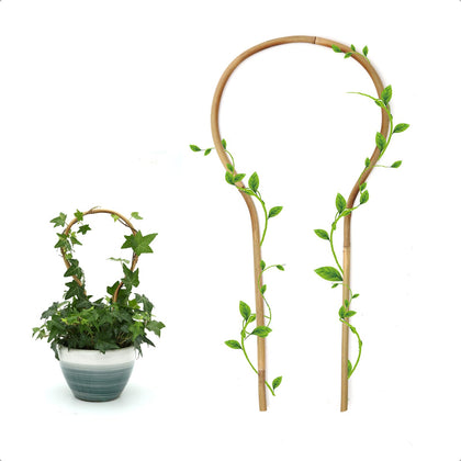 COLOtime 16-inch round bamboo trellis in a 3-pack provides sturdy support for climbers.
