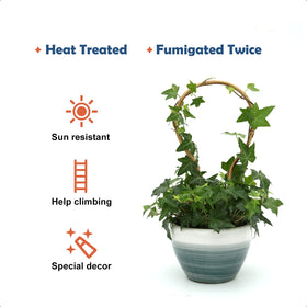COLOtime bamboo trellis is heat-treated and fumigated for mildew resistance.