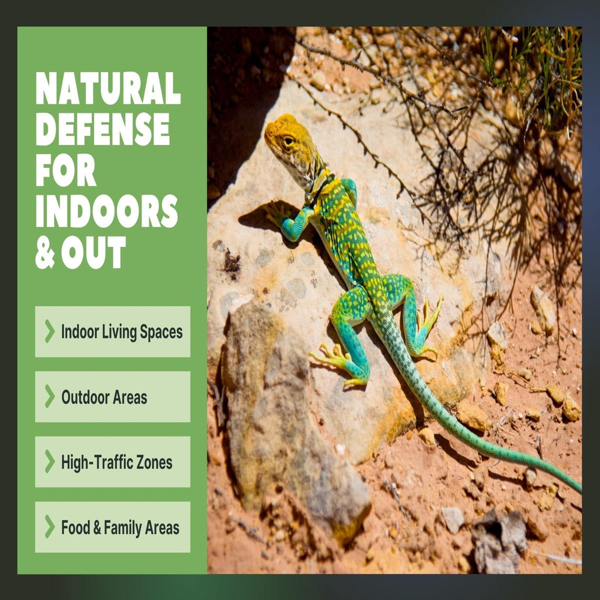 Colton's Naturals patio and garden lizard deterrent for reptile-free spaces