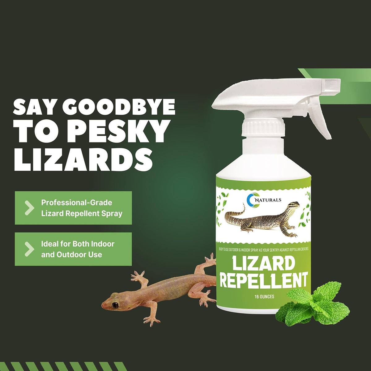 Colton's Naturals lizard deterrent application safe for pets and children