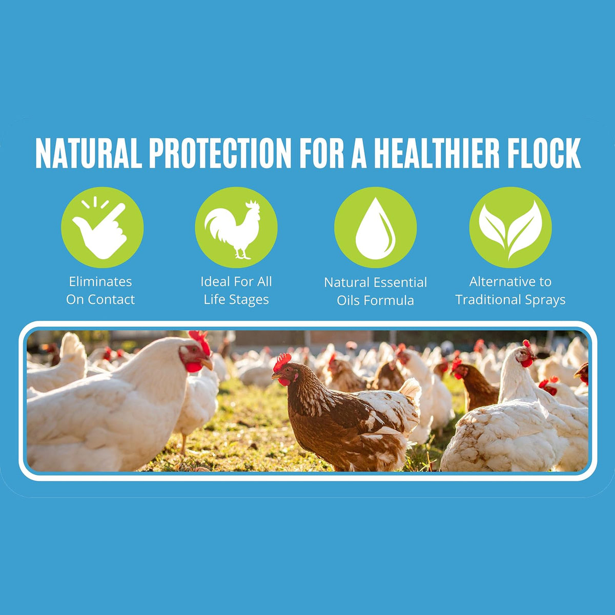 Colton's Naturals Poultry Spray used on bedding and nest boxes for freshness