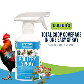 Colton's Naturals Poultry Spray in outdoor enclosures showing broader flock coverage