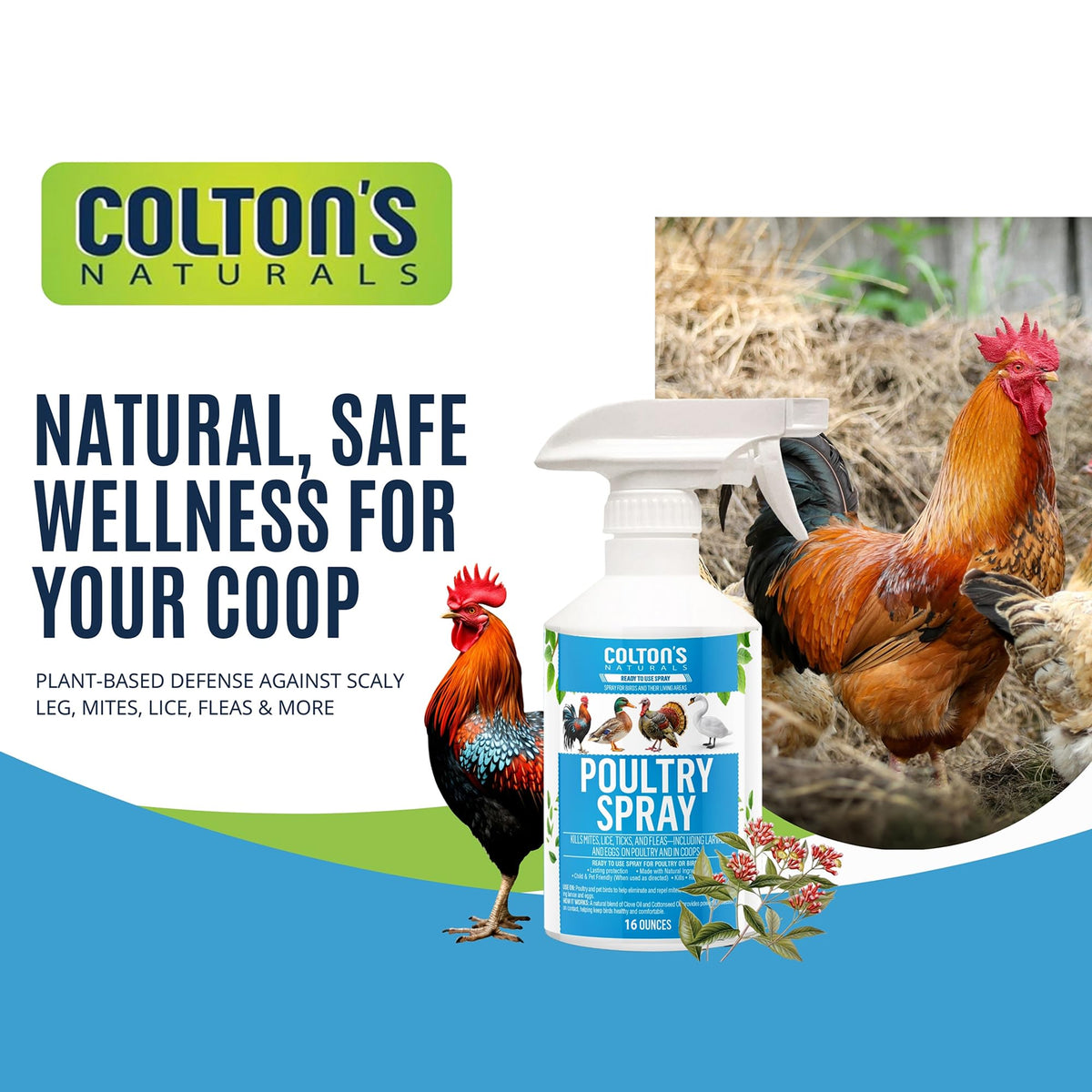 Colton's Naturals Poultry Spray on roosts highlighting easy coop maintenance