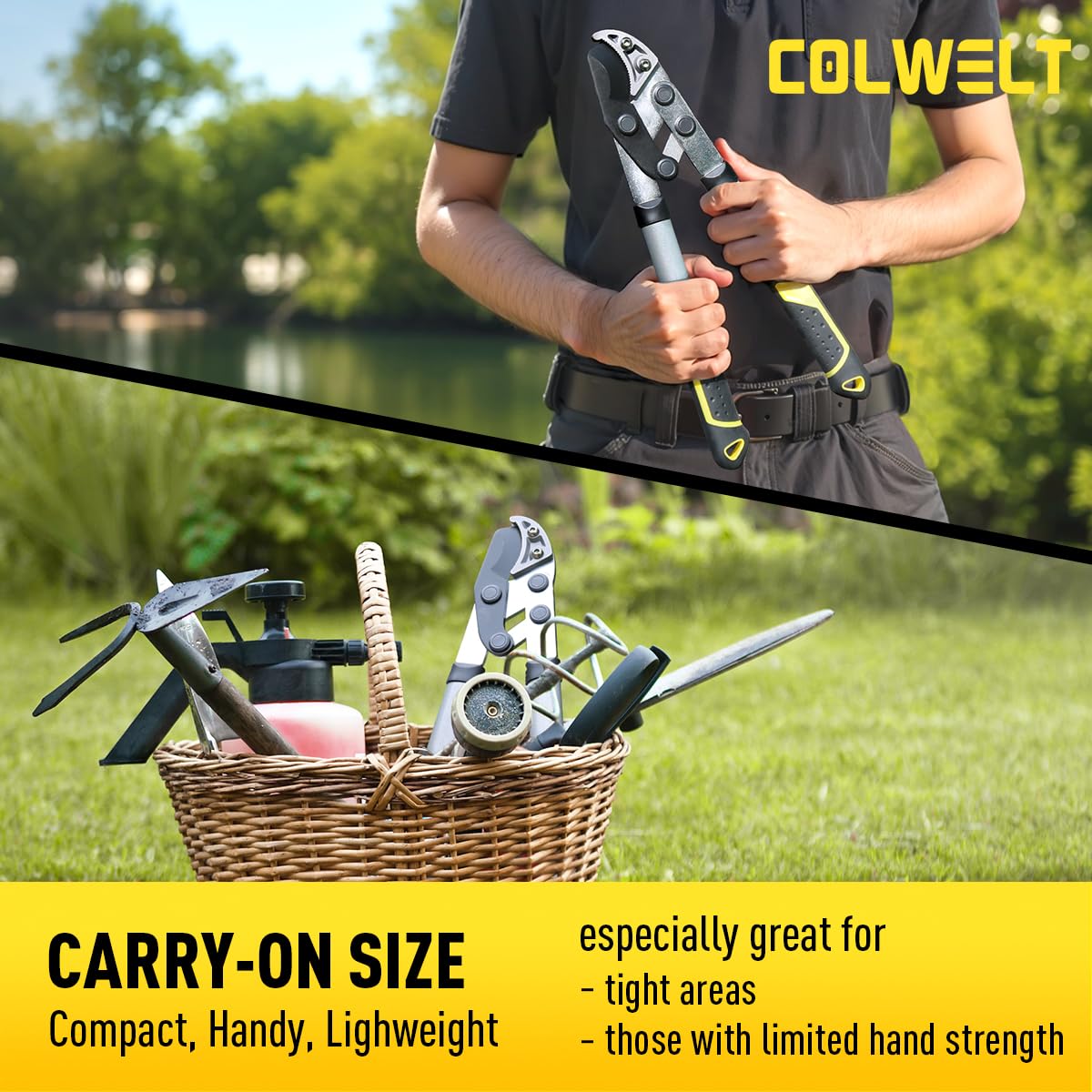 Colwelt carbon steel blades deliver durable, sharp cuts with rust resistance.