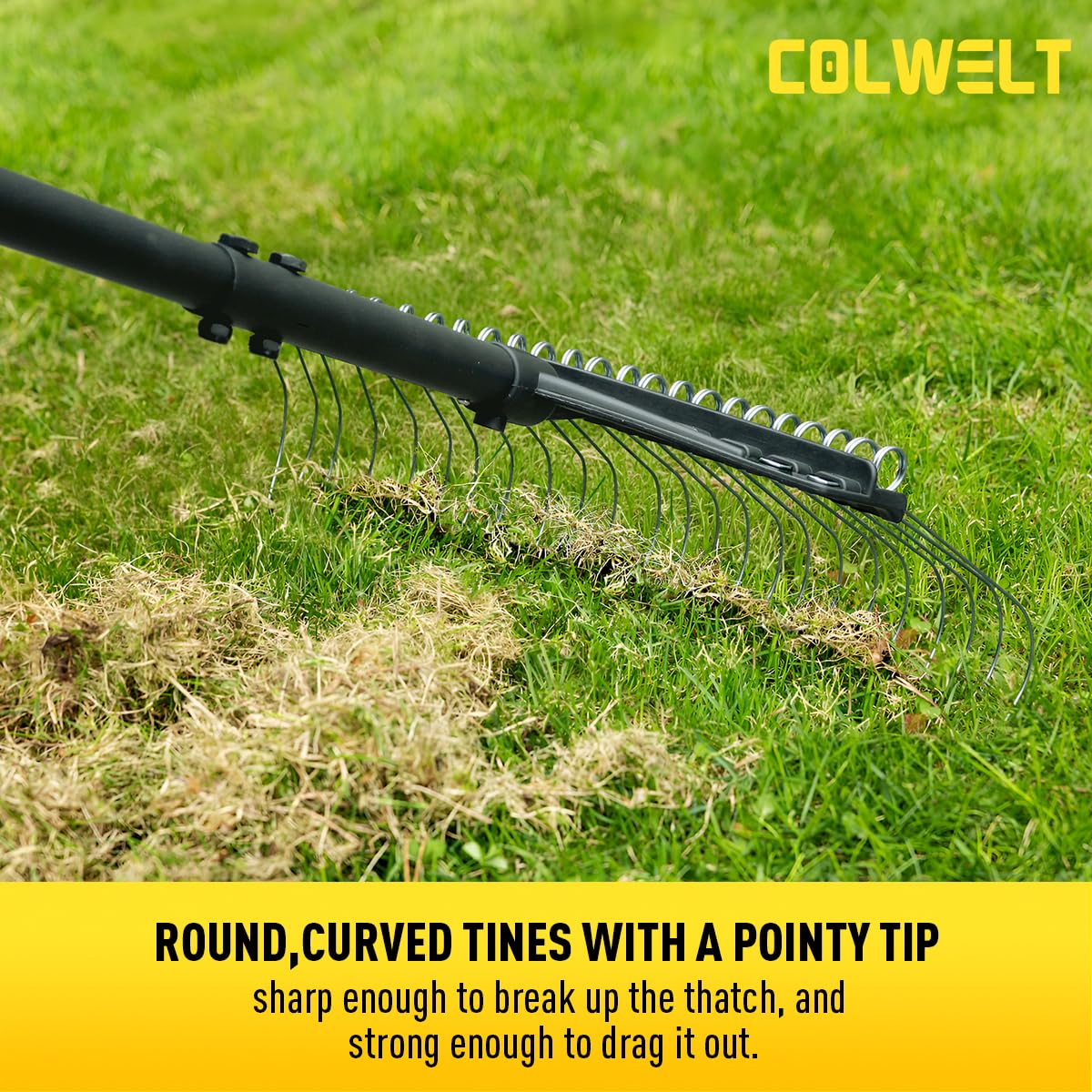 Colwelt Dethatcher Rake in use lifting thatch from a lush lawn