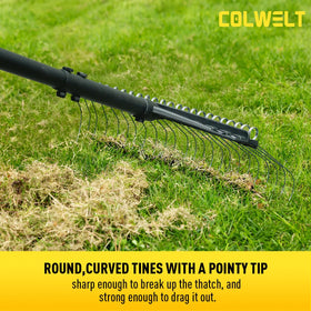 Colwelt Dethatcher Rake in use lifting thatch from a lush lawn