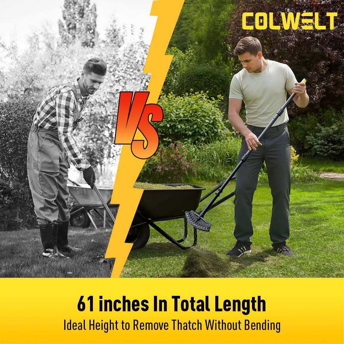 Colwelt Thatch Rake clearing pine needles and leaves effectively